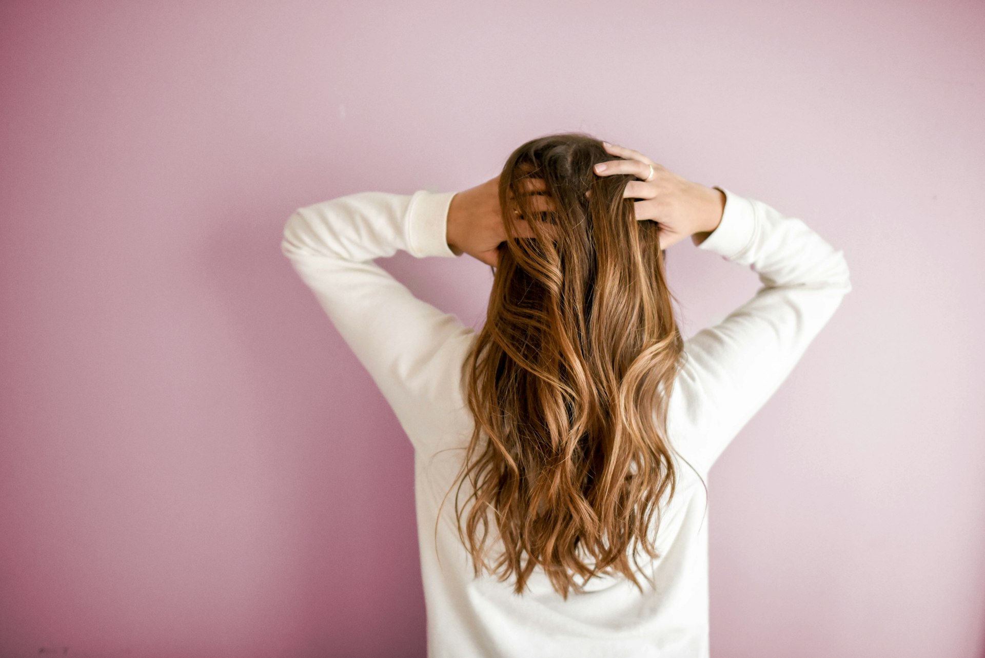 我们的商品系列——品牌展示